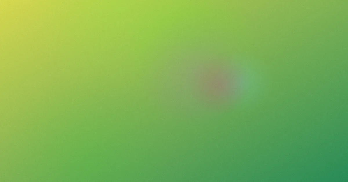 国产精品电影对比：一场选片复盘